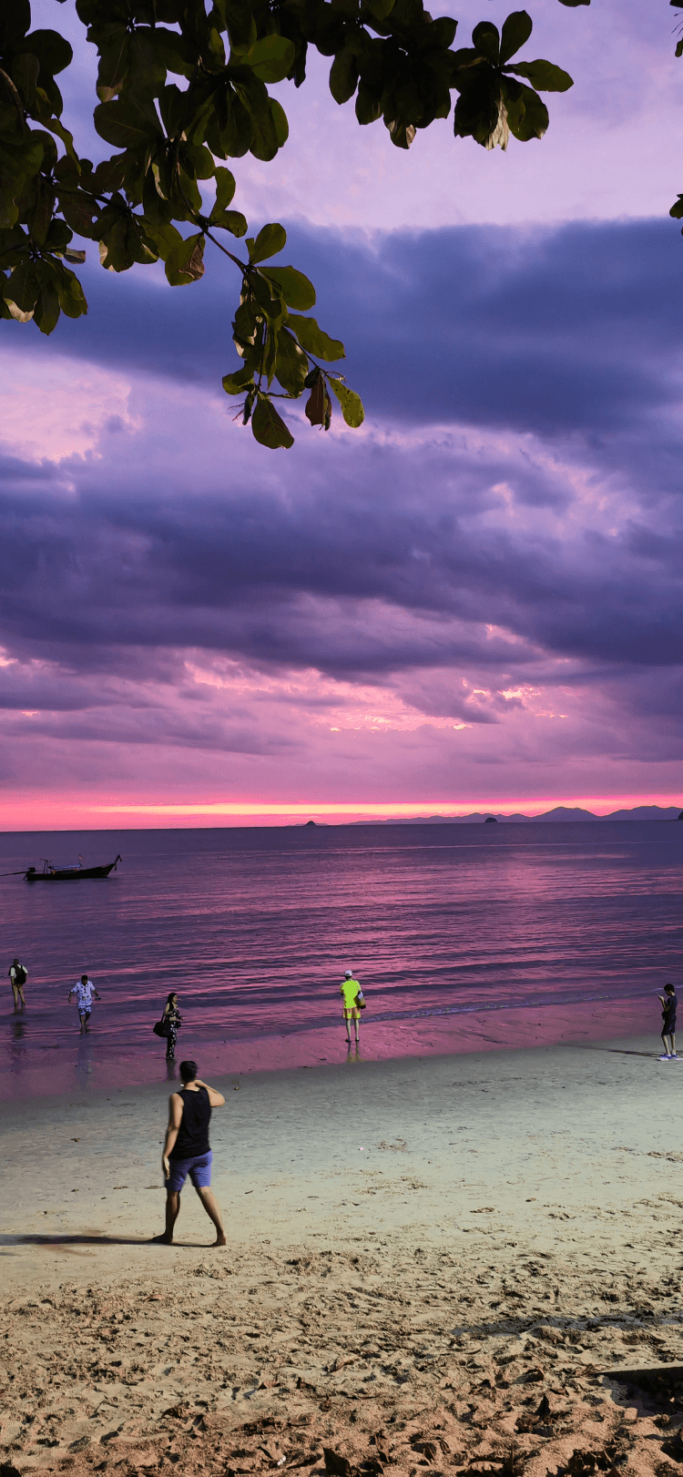 Get to Know SpotPin Better The SpotPin Team – Dedicated to Discoveries